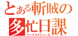 とある斬賊の多忙日課（ハードスケジュール）