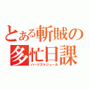 とある斬賊の多忙日課（ハードスケジュール）