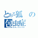 とある狐の包虫症（エキノコックス）