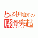 とある伊地知の膝骨突起（オスグット）