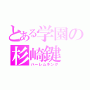 とある学園の杉崎鍵（ハーレムキング）