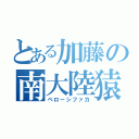 とある加藤の南大陸猿（ベローシファカ）