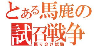 とある馬鹿の試召戦争（振り分け試験）