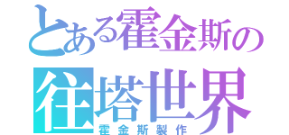 とある霍金斯の往塔世界（霍金斯製作）