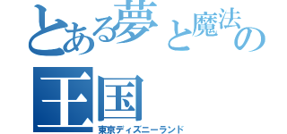 とある夢と魔法の王国（東京ディズニーランド）