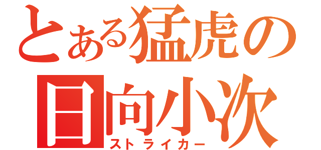 とある猛虎の日向小次郎（ストライカー）