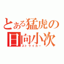 とある猛虎の日向小次郎（ストライカー）