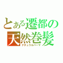 とある遷都の天然巻髪（ナチュラルパーマ）