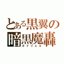 とある黒翼の暗黒魔轟（ガブリエル）