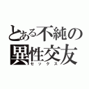 とある不純の異性交友（セックス）