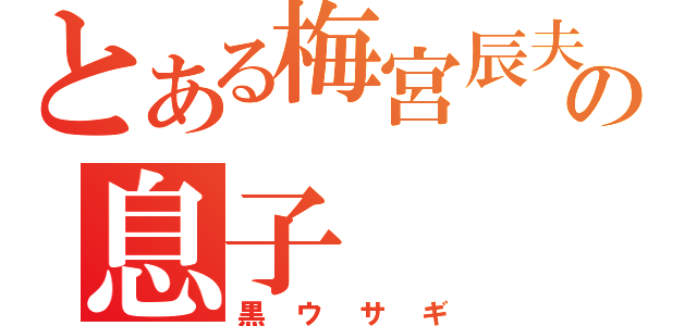 とある梅宮辰夫の息子（黒ウサギ）