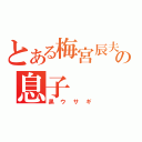 とある梅宮辰夫の息子（黒ウサギ）