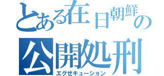 とある在日朝鮮の公開処刑（エグせキューション）