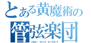 とある黄魔術の管弦楽団（イエロー マジック オーケストラ）