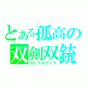 とある孤高の双剣双銃（カドラのアリア）