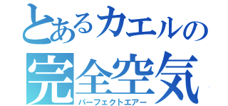 とあるカエルの完全空気（パーフェクトエアー）