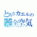 とあるカエルの完全空気（パーフェクトエアー）