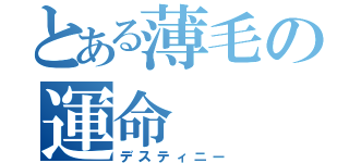 とある薄毛の運命（デスティニー）