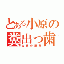 とある小原の糞出っ歯（古典の授業）