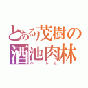 とある茂樹の酒池肉林（ハーレム）