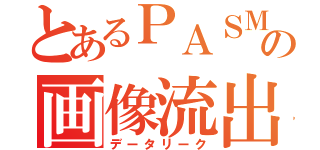 とあるＰＡＳＭＯの画像流出（データリーク）