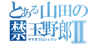 とある山田の禁玉野郎Ⅱ（ヤマダプロジェクツ）