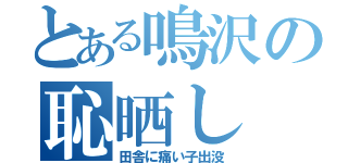 とある鳴沢の恥晒し（田舎に痛い子出没）