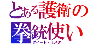 とある護衛の拳銃使い（グイード・ミスタ）