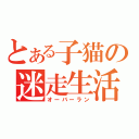 とある子猫の迷走生活（オーバーラン）