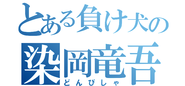 とある負け犬の染岡竜吾（どんぴしゃ）