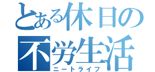 とある休日の不労生活（ニートライフ）