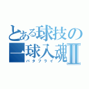 とある球技の一球入魂Ⅱ（バタフライ）