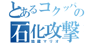 とあるコクッパの石化攻撃（地蔵マリオ）