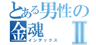 とある男性の金魂Ⅱ（インデックス）