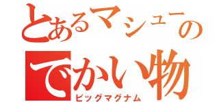 とあるマシューのでかい物（ビッグマグナム）