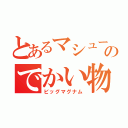 とあるマシューのでかい物（ビッグマグナム）