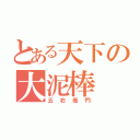 とある天下の大泥棒（五右衛門）