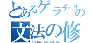 とあるゲラチョの文法の修正（ｇｒａｍｍａｒ ｃｏｒｒｅｃｔｉｏｎ）