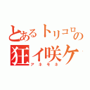 とあるトリコロの狂イ咲ケ焔ノ華（アネモネ）