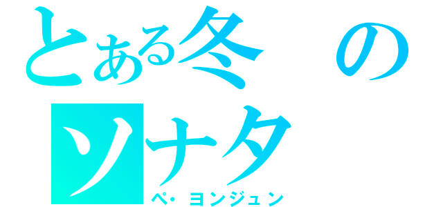 とある冬のソナタ（ぺ・ヨンジュン）