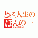 とある人生のほんの一部（彼女が溺死した）