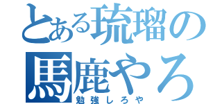 とある琉瑠の馬鹿やろう（勉強しろや）