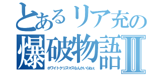 とあるリア充の爆破物語Ⅱ（ホワイトクリスマスなんかいらねぇ）