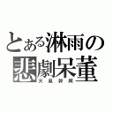 とある淋雨の悲劇呆董（天氣幹阿）