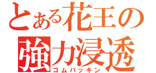 とある花王の強力浸透（ゴムパッキン）