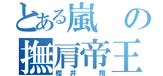 とある嵐の撫肩帝王（櫻井　翔）