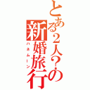 とある２人？の新婚旅行（ハネムーン）