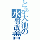 とある大池の水質改善（）