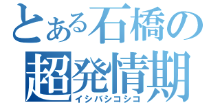 とある石橋の超発情期（イシバシコシコ）