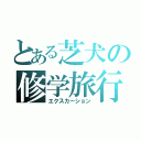 とある芝犬の修学旅行（エクスカーション）